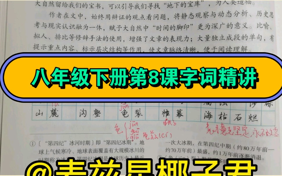 部编版初中语文八年级下册第8课字词精讲哔哩哔哩bilibili