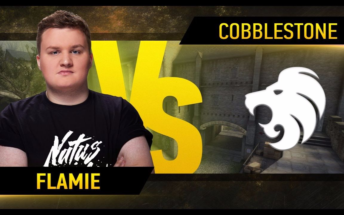 flamie主视角vsnorth图cbbleiemkatowice2017