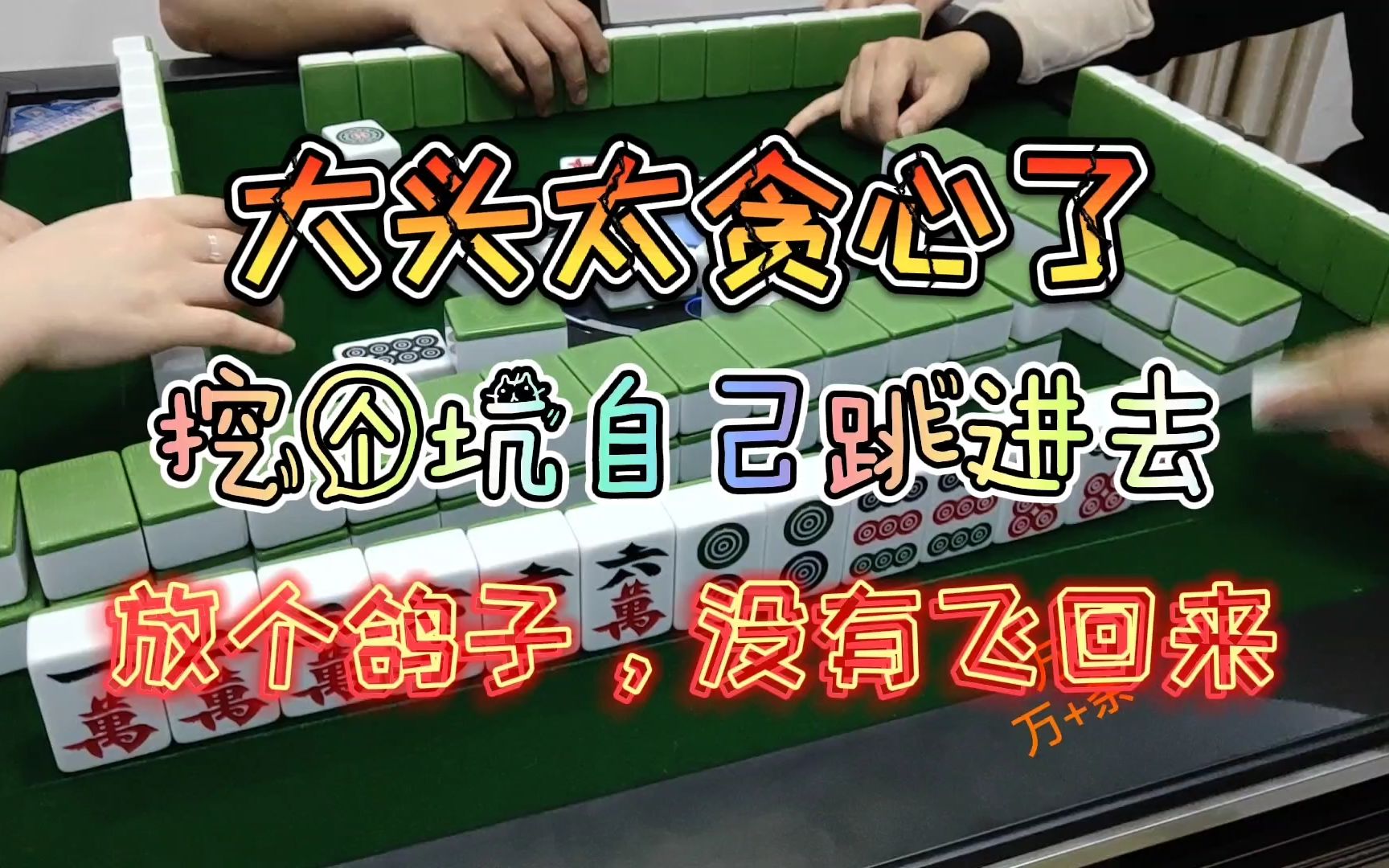 四川麻将换三张:放了个鸽子,鸽子却没有飞回来大头麻经哔哩哔哩bilibili