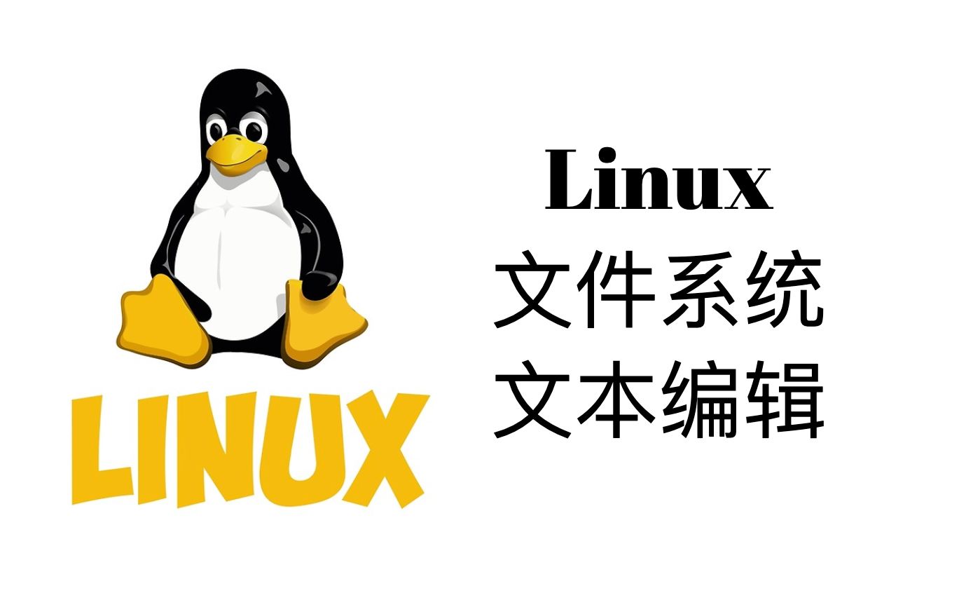 Linux文件系统和文本操作【Linux操作系统教程2】哔哩哔哩bilibili