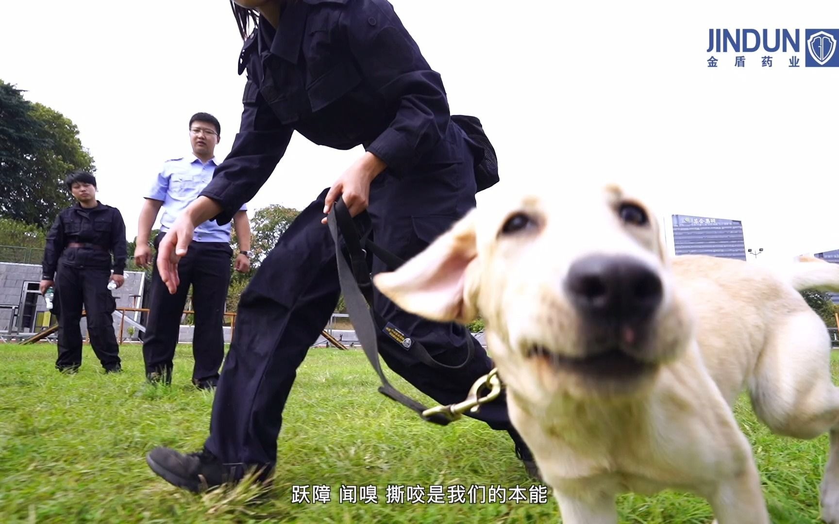 警犬飞虎的训练日记—南京金盾药业品牌宣传片哔哩哔哩bilibili