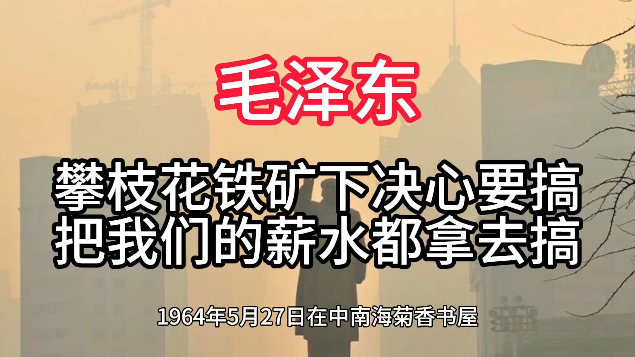 《毛泽东年谱》攀枝花铁矿下决心要搞 把我们的薪水都拿去搞——1964年5月27日哔哩哔哩bilibili