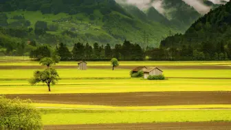 20200915-V由e-路由切换使用动画