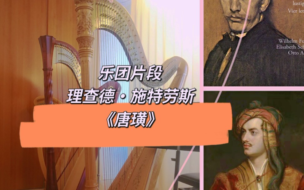 竖琴演奏乐团片段理查德施特劳斯唐璜