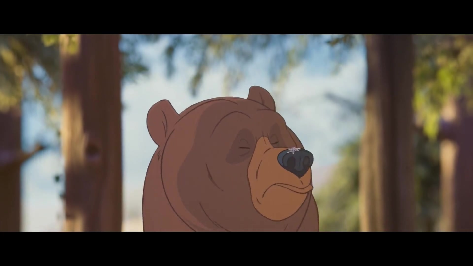 john lewis 圣诞广告-2013-the bear the hare_哔哩哔哩 (゜-゜)つロ