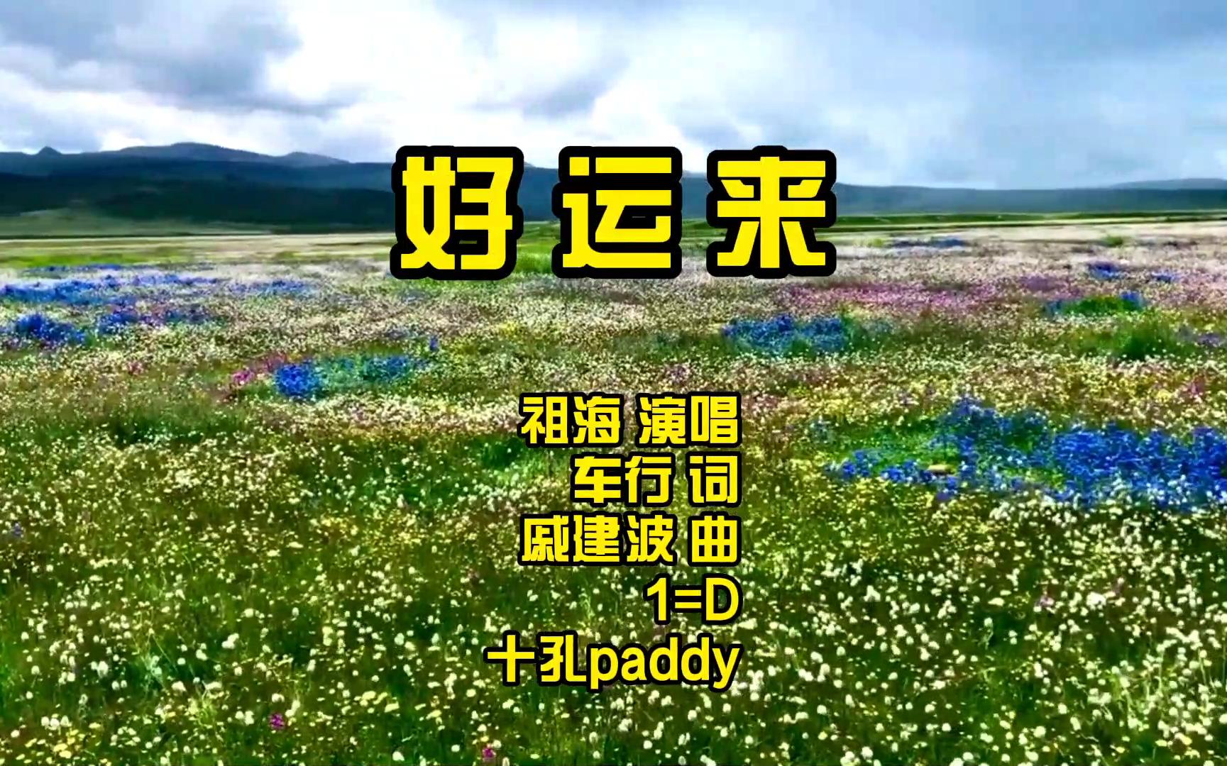 口琴演奏:祖海的一首《好运来》,祝大家新年快乐,天天好运来