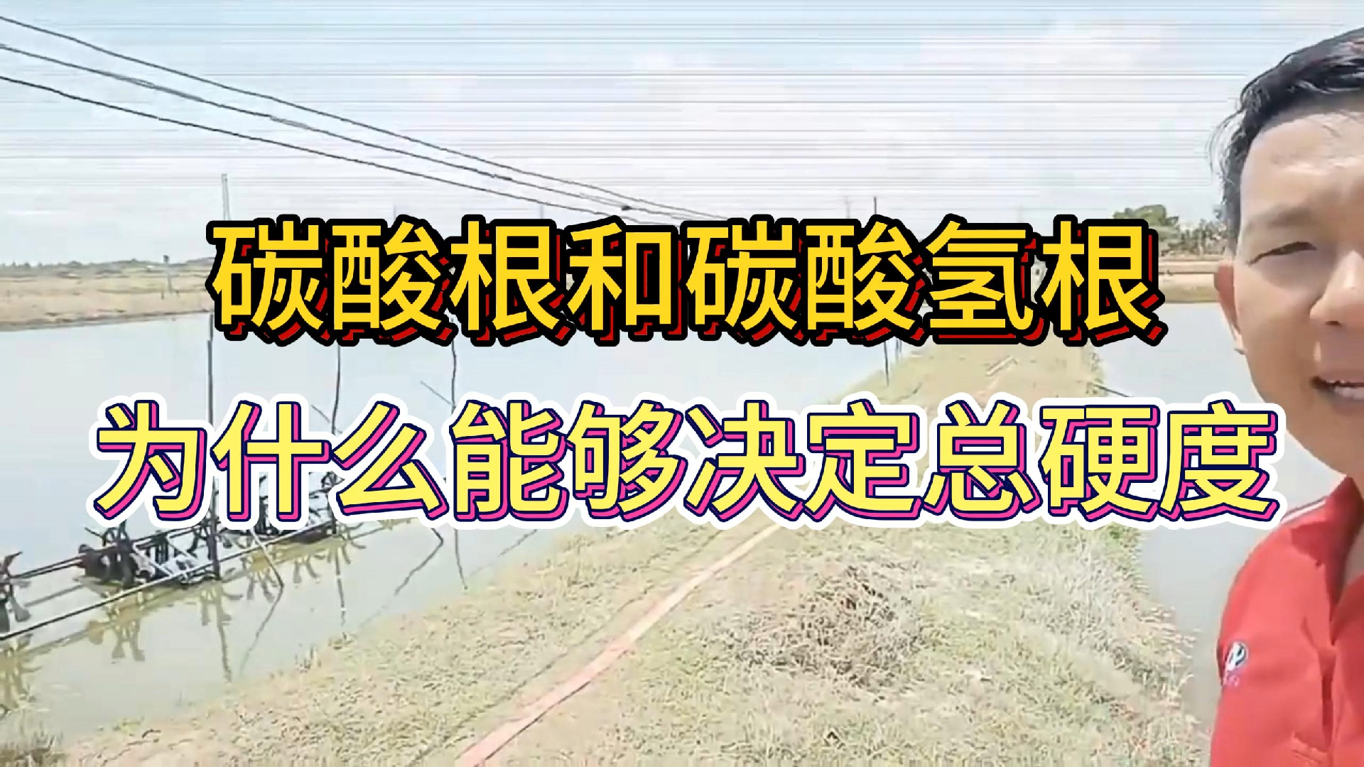 水产养殖中,为什么说碳酸根和碳酸氢根,决定了水体的总硬度?