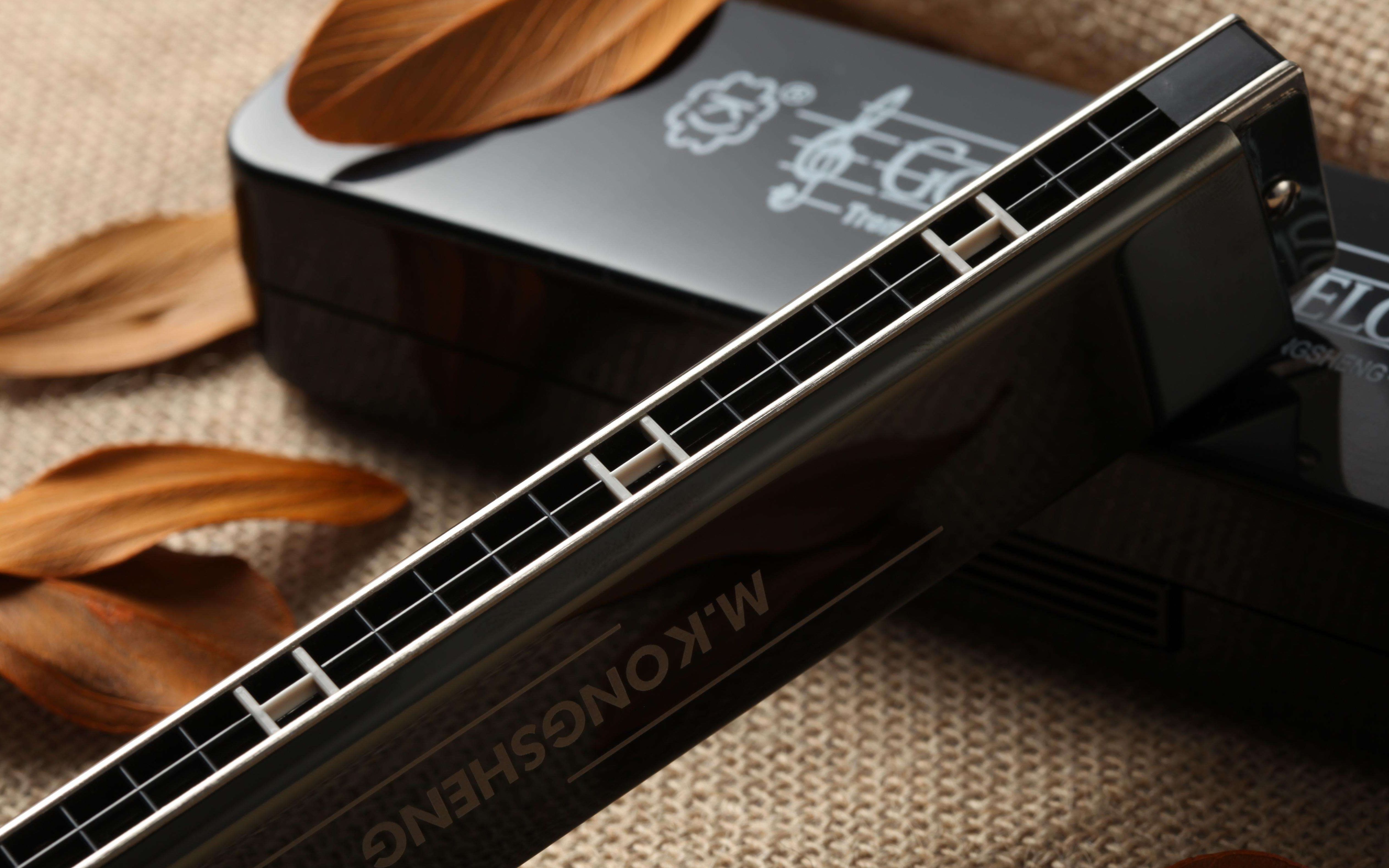 活动作品复音口琴蒲公英的约定东方鼎t2406s