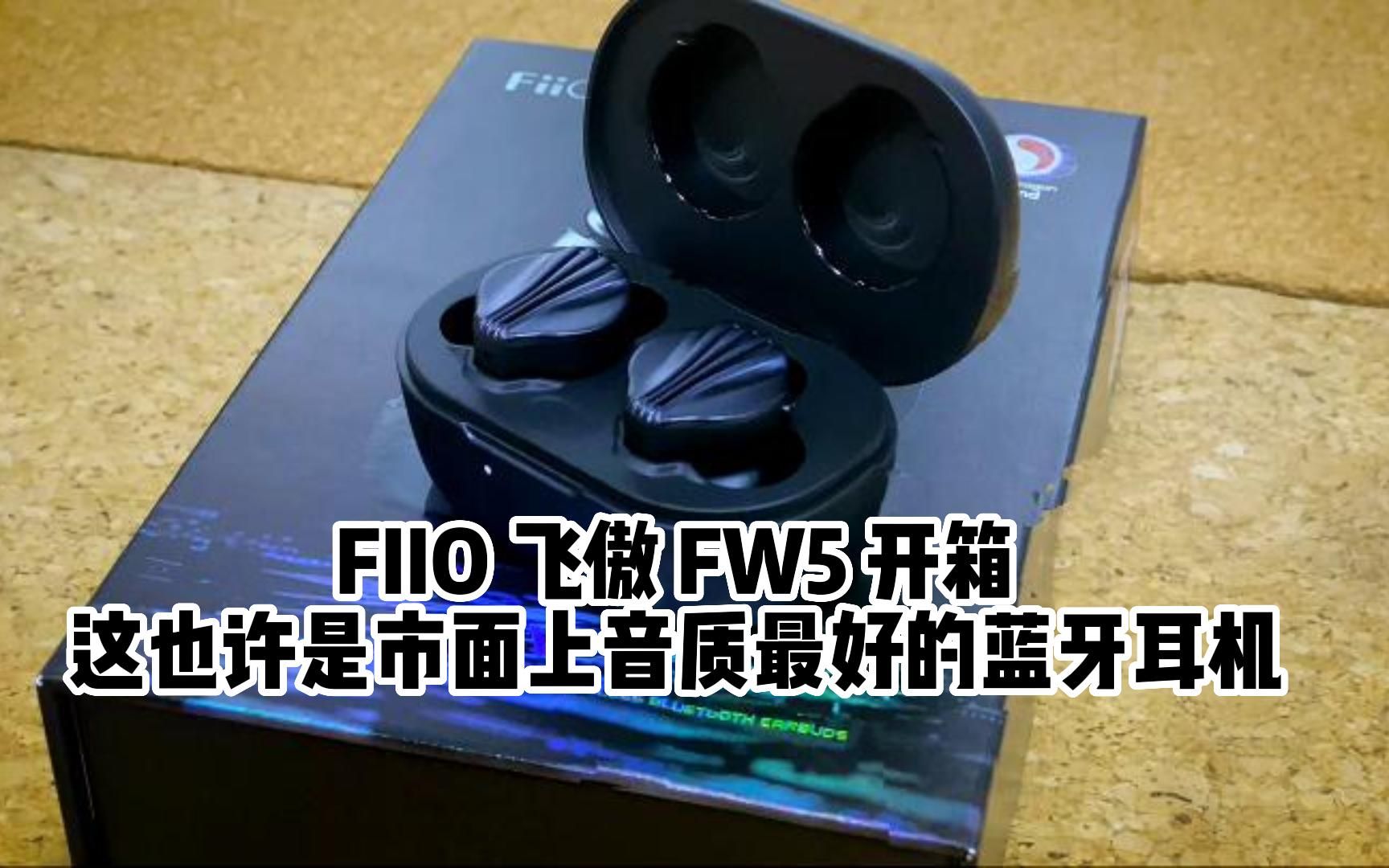 最发烧的蓝牙真无线TWS耳机FIIO飞傲FW5圈铁3单元旗舰哔哩哔哩bilibili