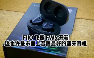 Télécharger la video: 最发烧的蓝牙真无线TWS耳机FIIO飞傲FW5圈铁3单元旗舰