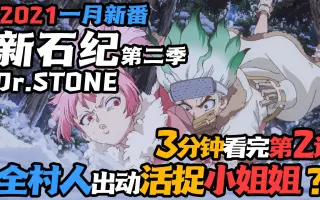 ｄｒ ｓｔｏｎｅ 石纪元第二季 哔哩哔哩 Bilibili