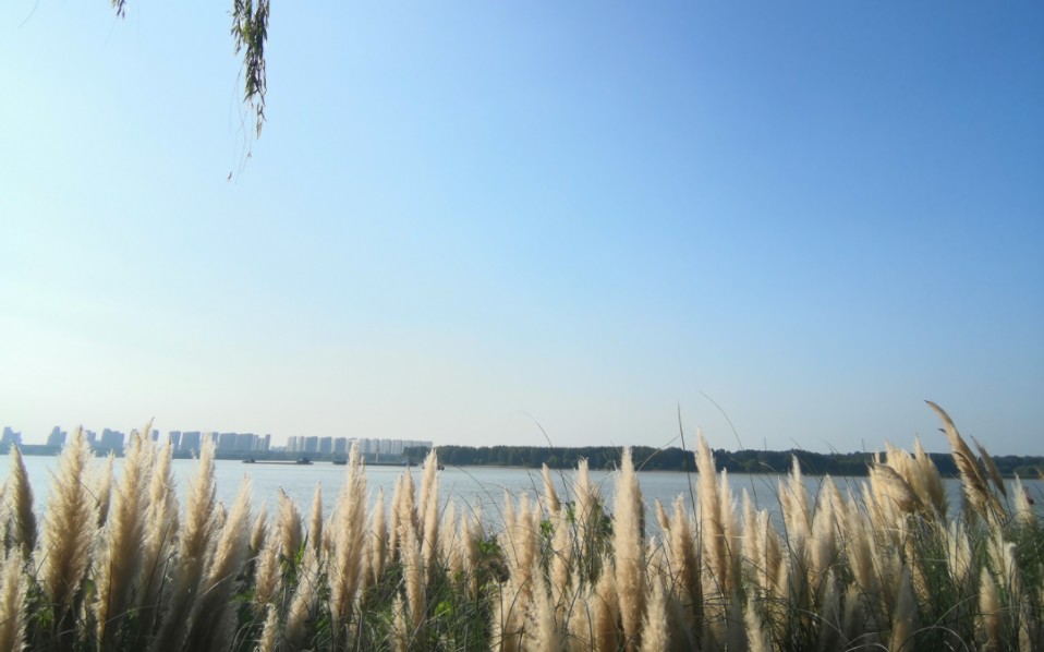 晴空萬里|幕燕濱江風貌區|達摩古洞|永濟大道