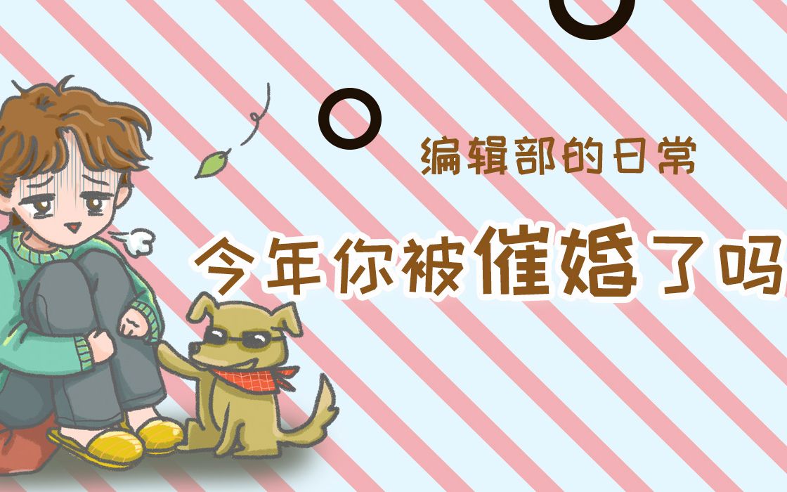 《编辑部的日常》今年 你被催婚了吗?哔哩哔哩bilibili