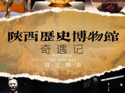 Download Video: 我在陕西历史博物馆拍到的国宝们