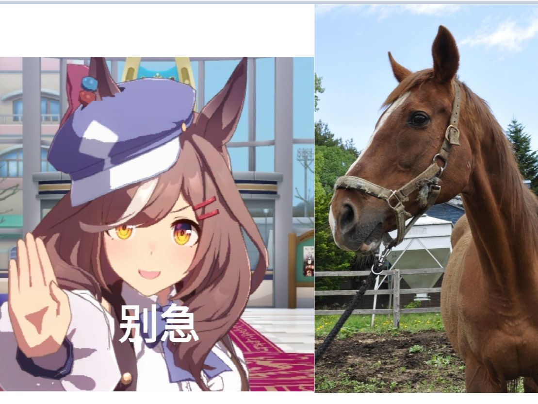 现实不只有抽象,待兼诗歌剧的小秘密合集(赛马娘原型)