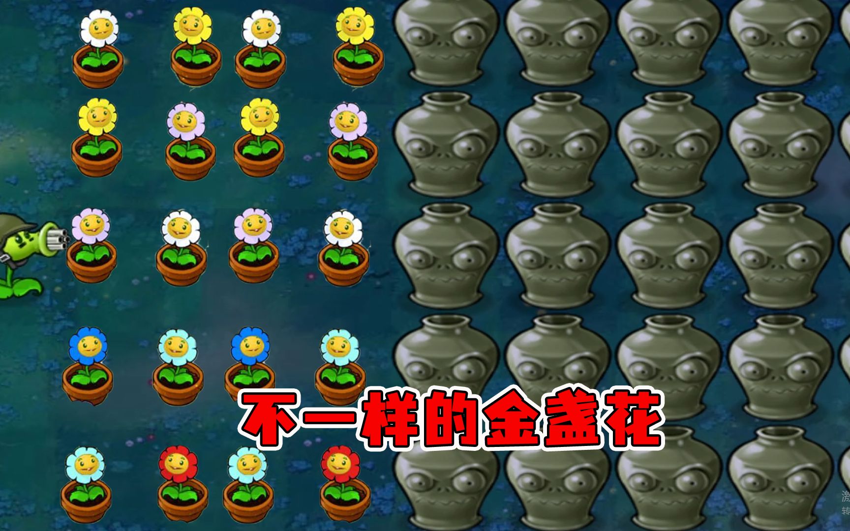 植物大战僵尸无名版的金盏花特别不一样心塞