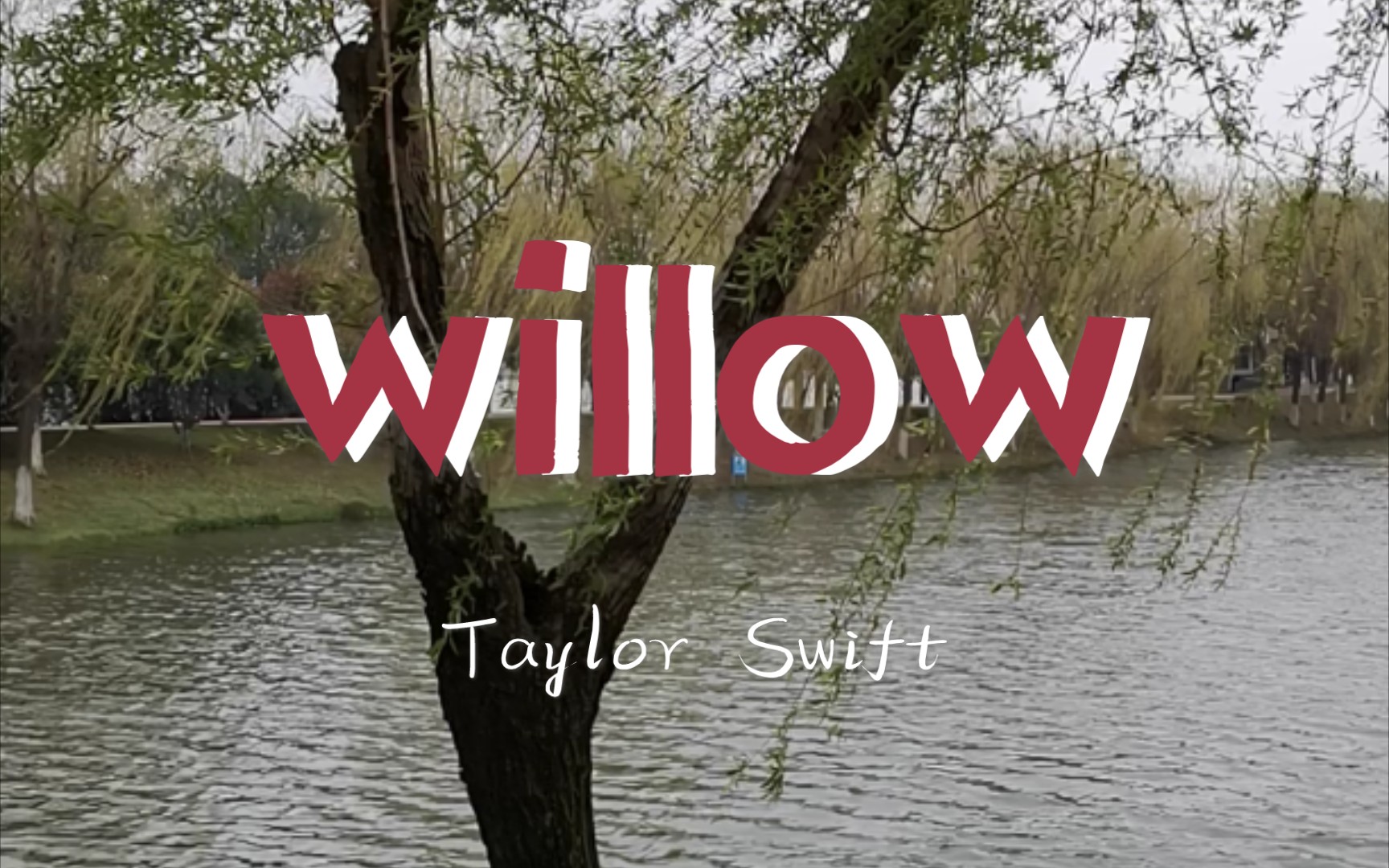 【饭制mv】【霉霉】【旅拍】"life was a willow and it bent right