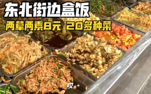 Download Video: 东北街边7块钱二十多种菜的盒饭你们感觉值不值！