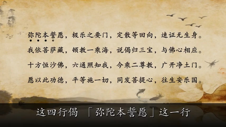 净界法师讲的所有经
