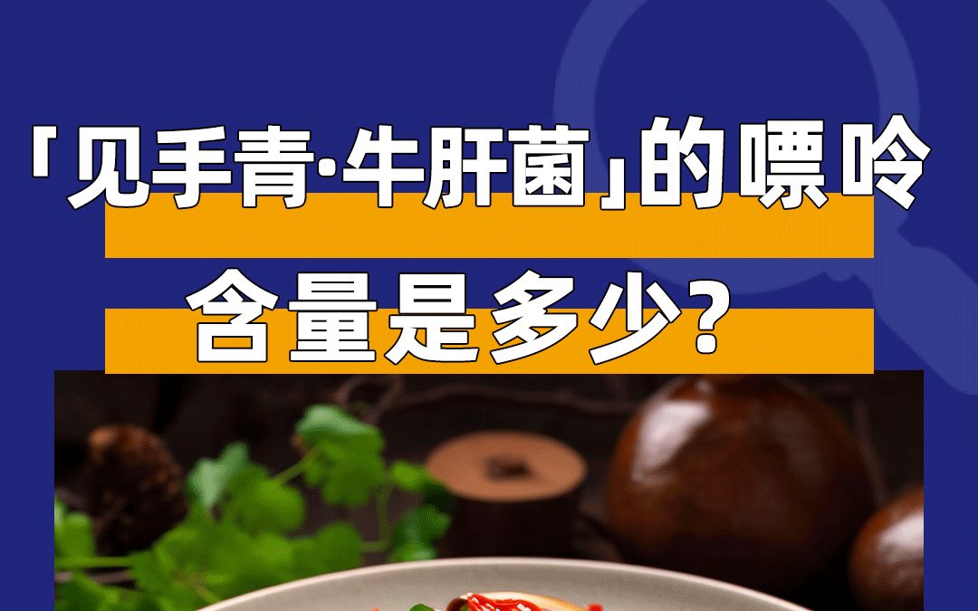 野生菌的嘌呤含量是多少呢?哔哩哔哩bilibili