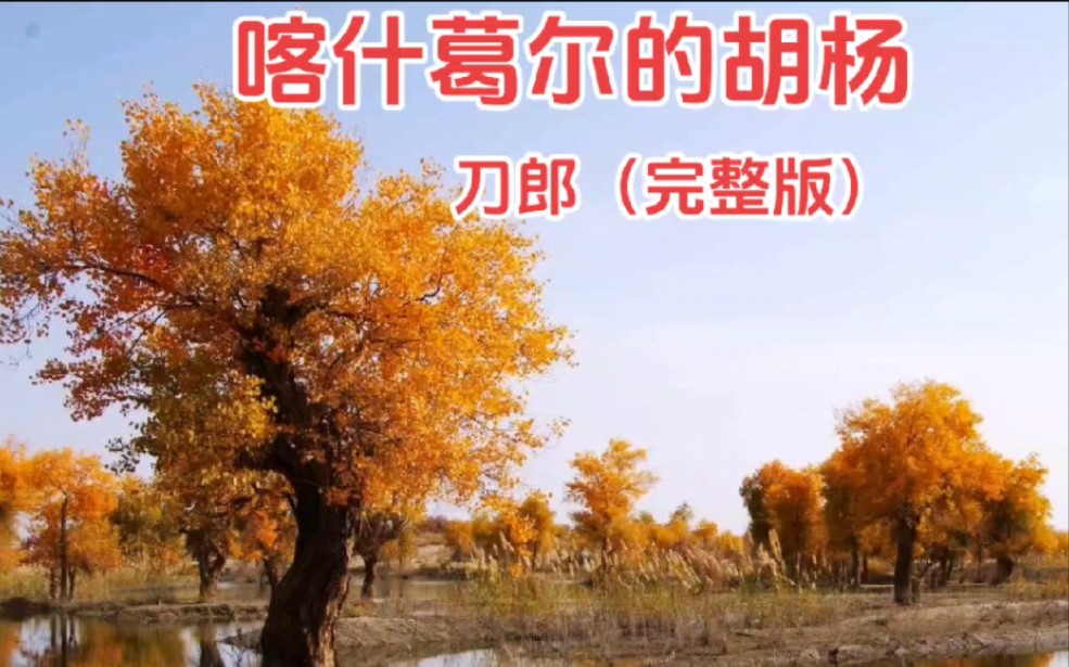 喀什葛尔的胡杨-刀郎