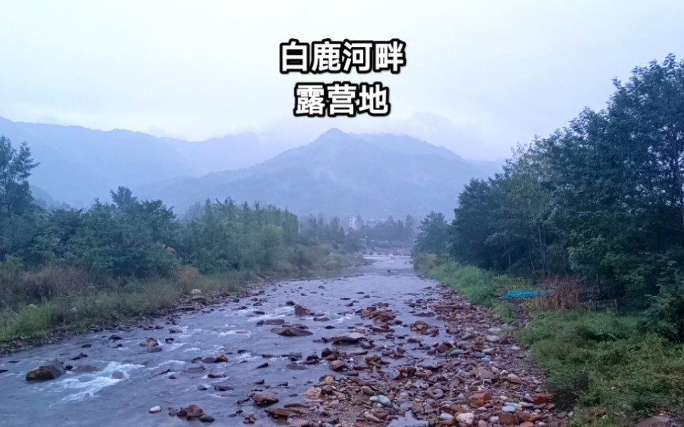 彭州白鹿河畔秘境露营地,依山傍水鸟语花香,钓鱼赏景野营好地方哔哩哔哩bilibili