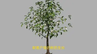 Download Video: Growfx 制作植物的开花结果