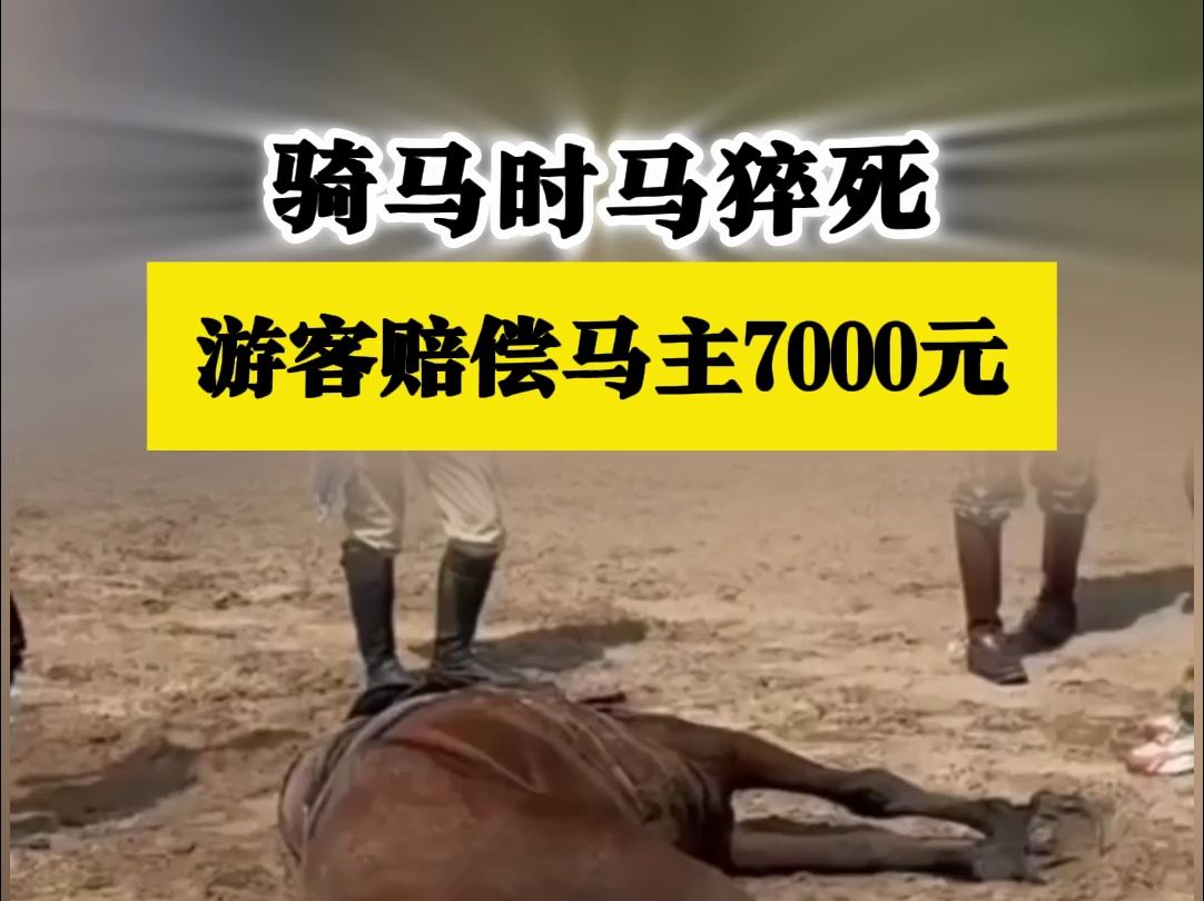 骑马时马猝死游客赔偿马主7000元