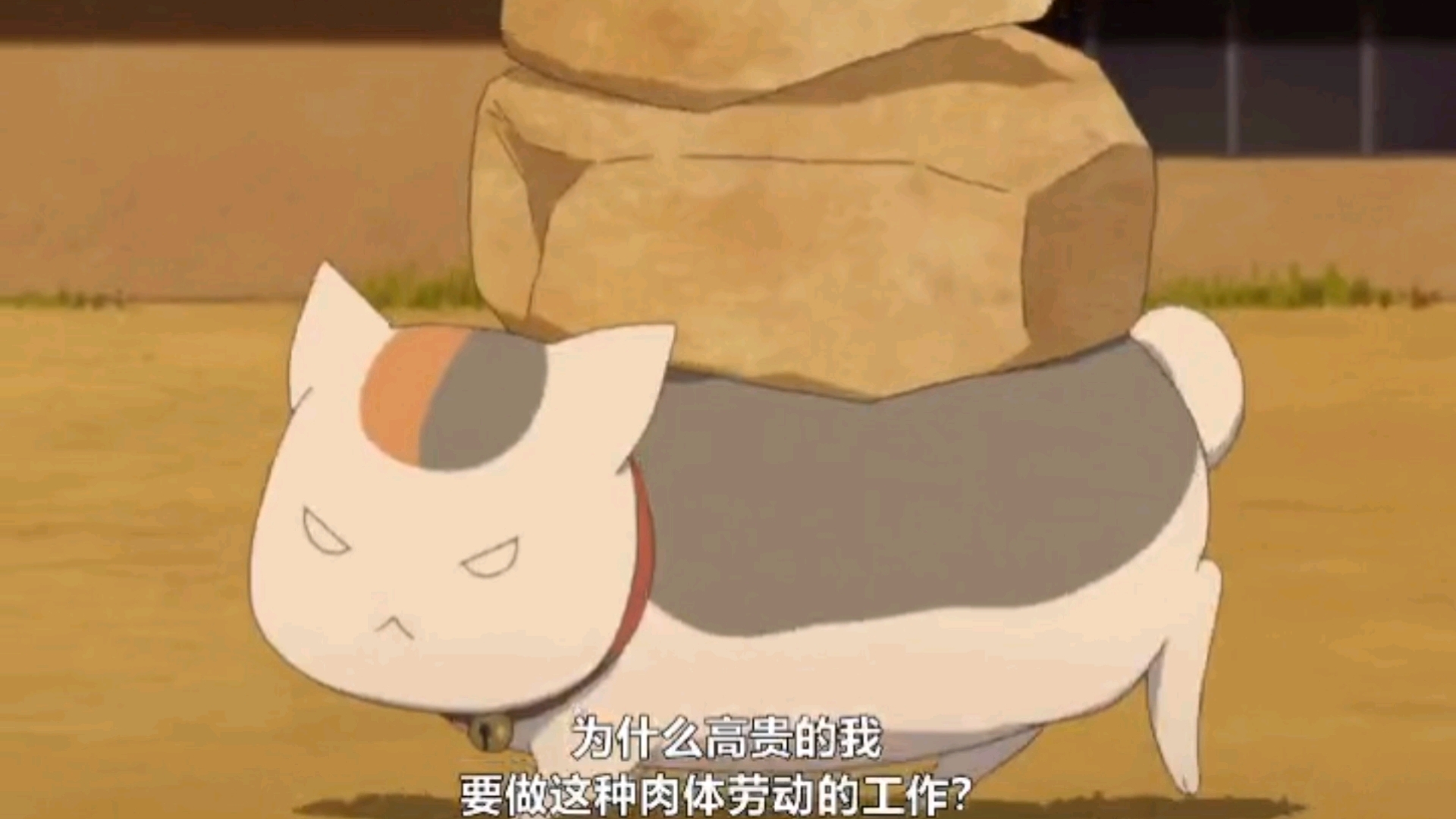 夏目友人帐柒 猫咪老是背石头的样子不要太可爱了,就怕给压趴下了