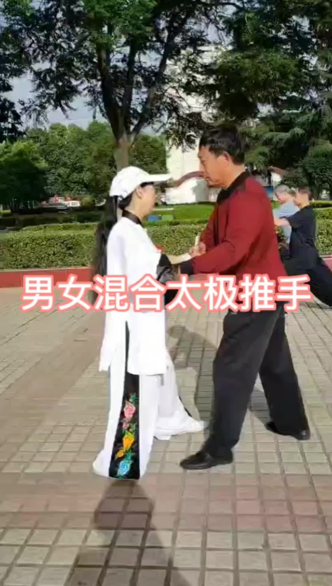 男女混合太极推手交流哔哩哔哩bilibili