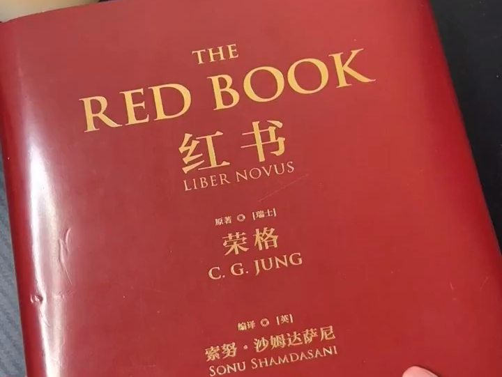 一部不可错过的宝藏天书《红书》真没想到有天能在线上买到哔哩哔哩bilibili