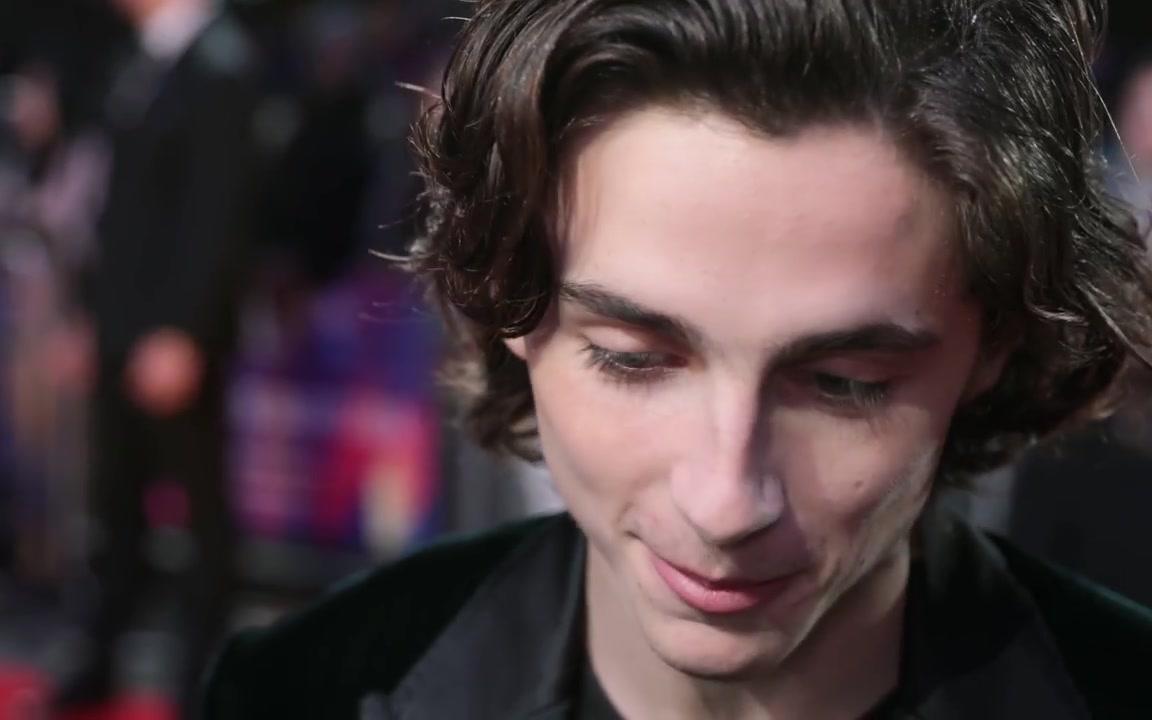 【4k超清美颜暴击】甜茶call me by your name伦敦首映红毯问答