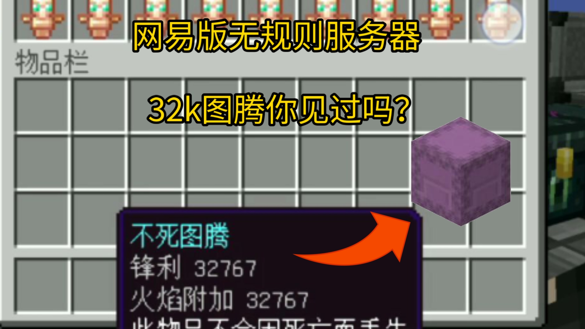 【我的世界网易版】网易版无规则服 免费32k还有附魔图腾?