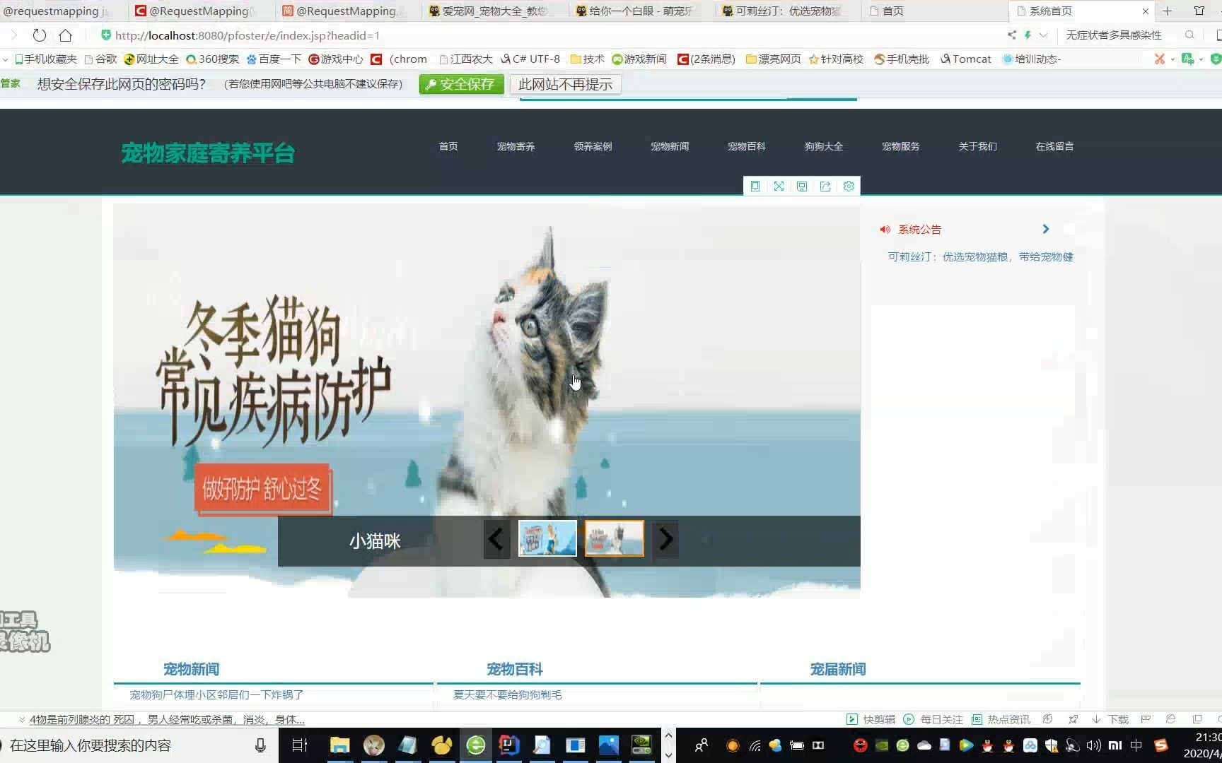 springboot vue宠物家庭寄养系统 JAVA JSP SSM宠物领养系统 javaweb宠物领养服务网站 源代码 毕业设计哔哩哔哩bilibili