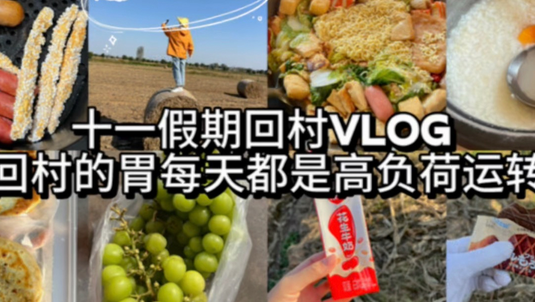 十一假期回村vlog ｜回村的胃每天都是高负荷运转