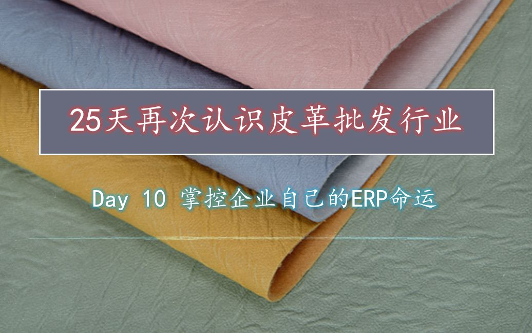 25天再次认识皮革批发行业 | Day 10 掌控企业自己的ERP命运哔哩哔哩bilibili