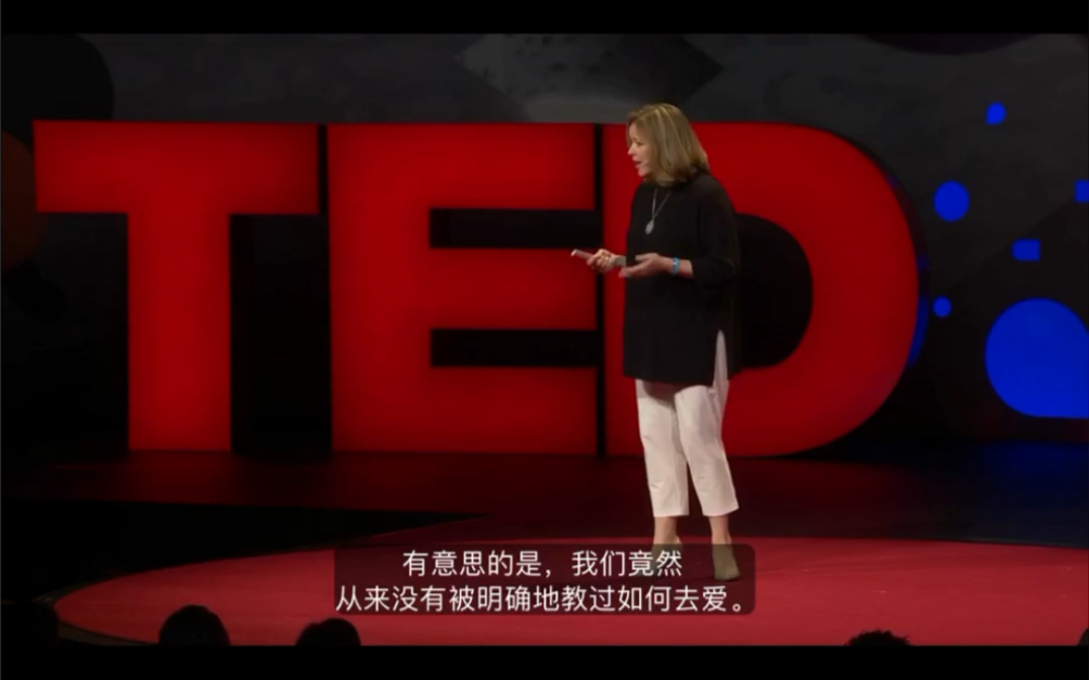 TED:健康与不健康的爱的区别(识别情感暴力与婚姻虐待),全长12分钟.哔哩哔哩bilibili