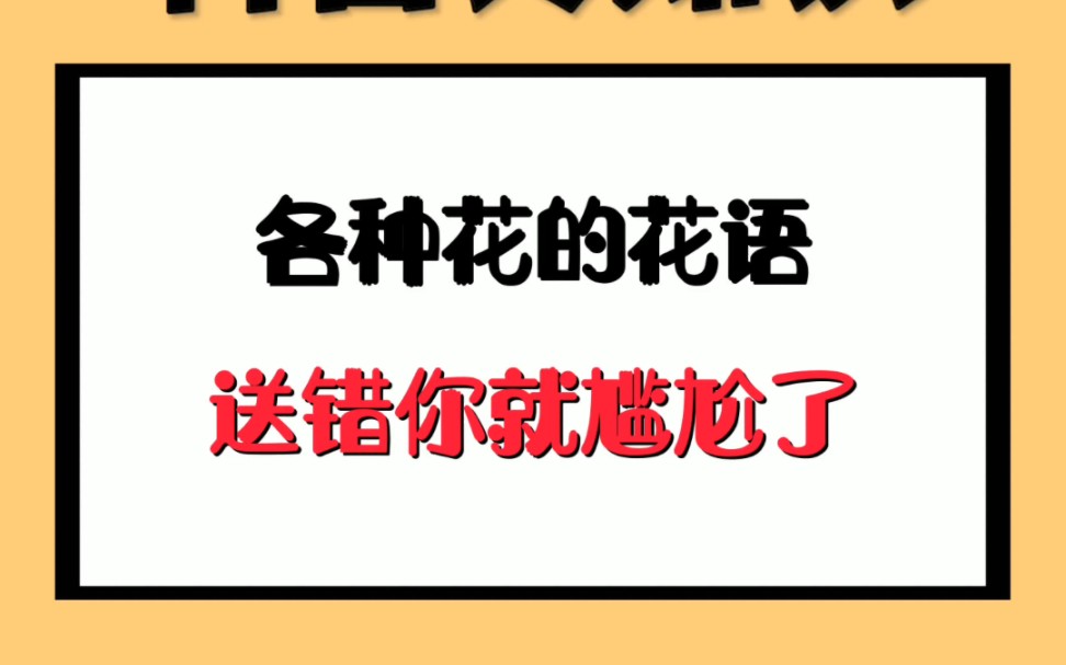 各种花的花语,送错你就尴尬了哔哩哔哩bilibili