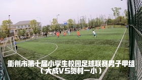 å¤§æˆå°å­¦vsé¾™æ¸¸å®žéªŒ å