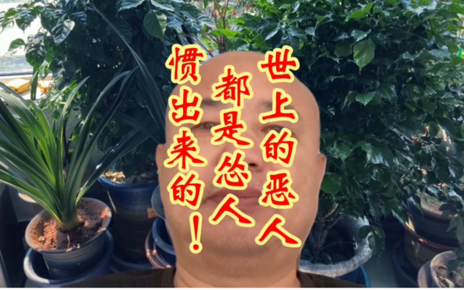 世上的恶人都是怂人惯出来的!