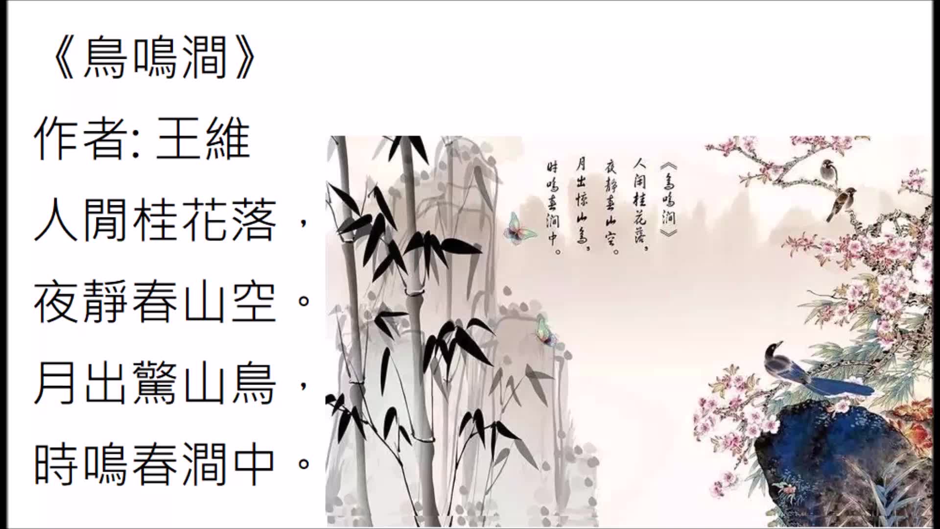 [图]鳥鳴澗  王維--唐詩  (閩南語)