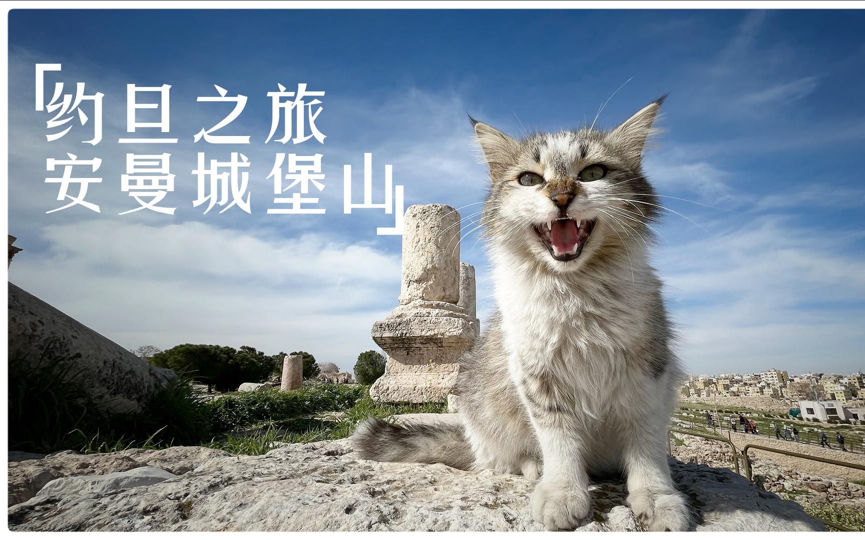 约旦之旅-安曼城堡山