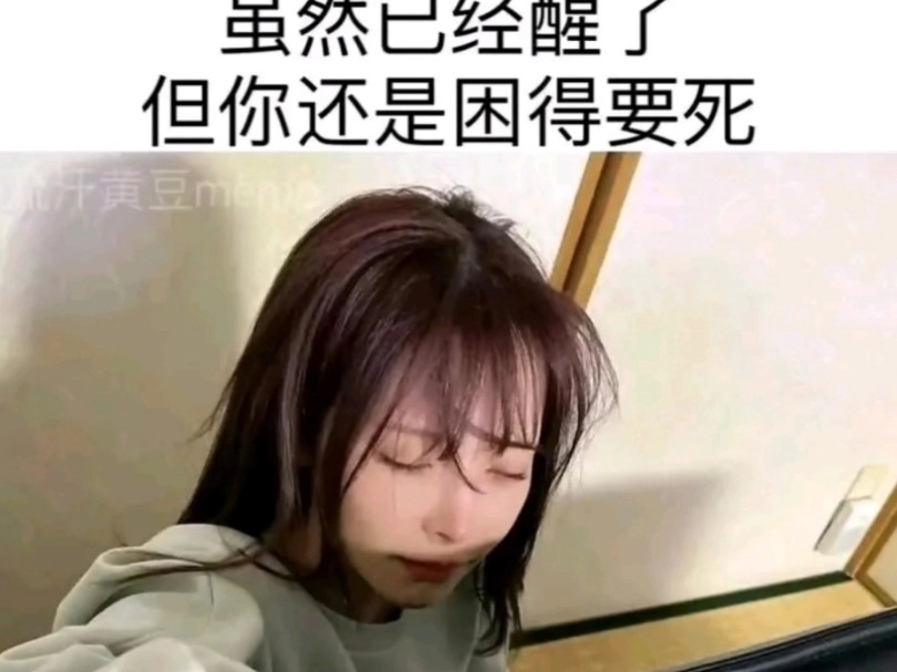 群友们的难绷吊图#1哔哩哔哩bilibili