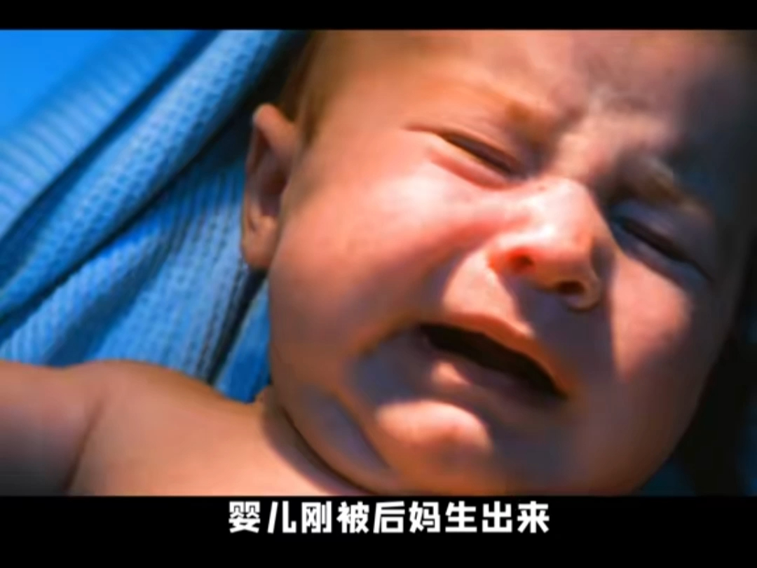 婴儿刚出生，就要经历残酷训练！