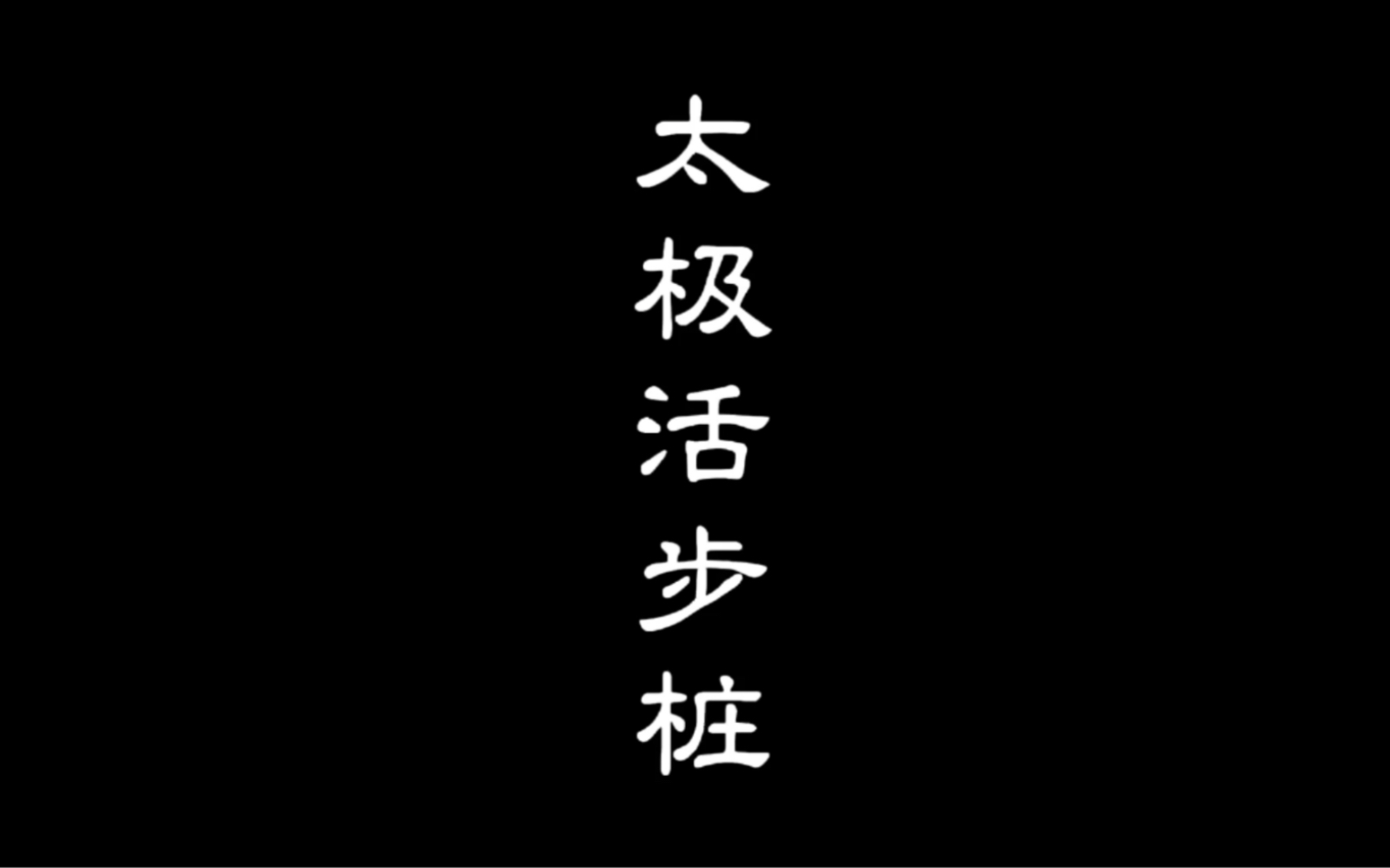 太极拳领军人“翟维传”展示活步桩功哔哩哔哩bilibili