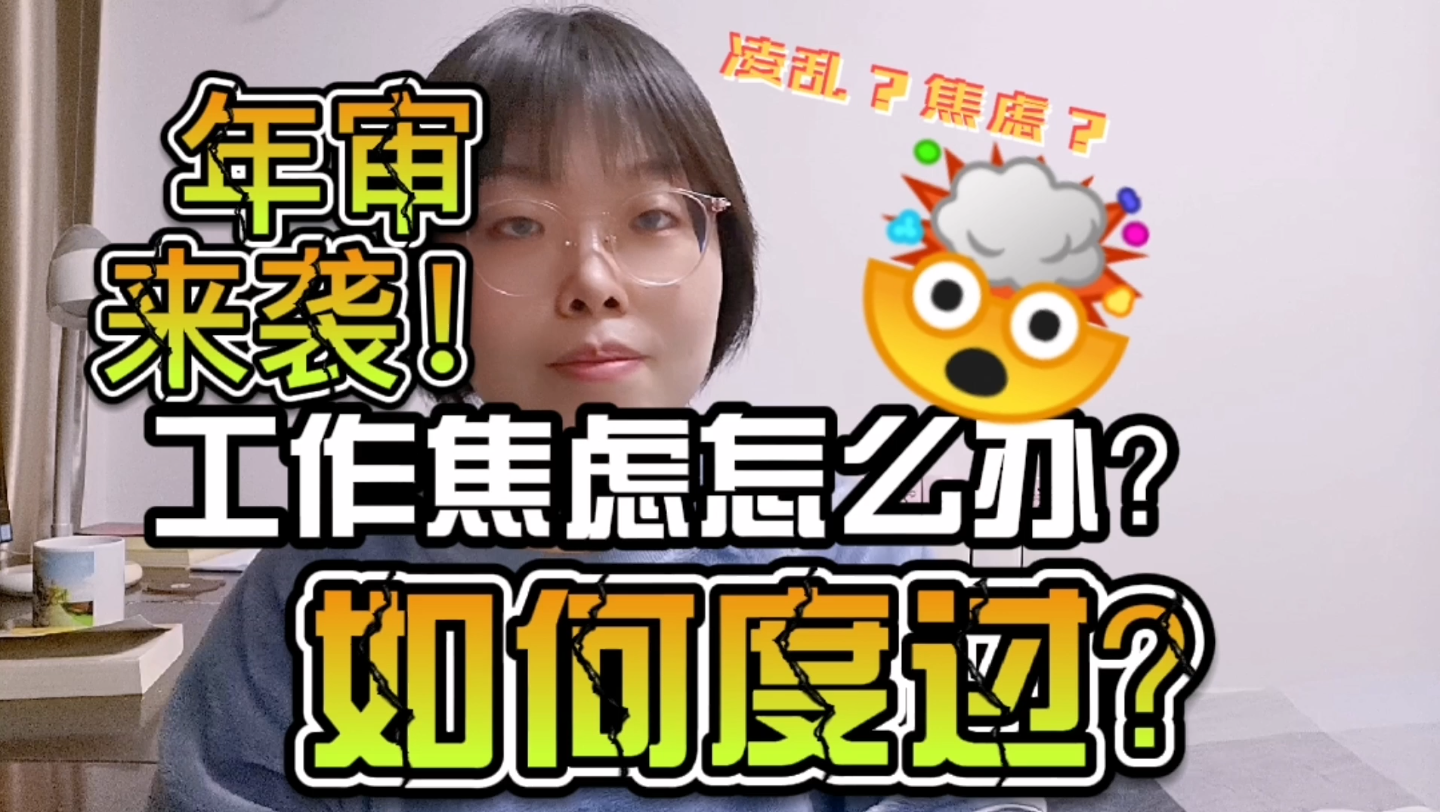 审计新人如何度过“难熬”的年审?哔哩哔哩bilibili