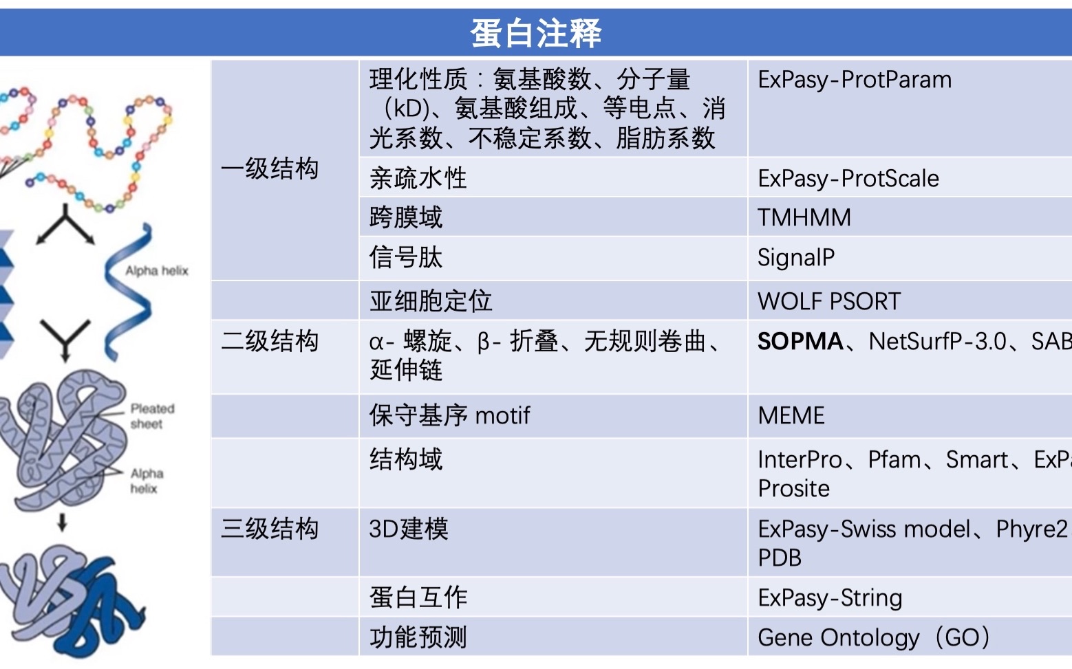 蛋白结构预测及功能初步注释|从序列、结构到功能哔哩哔哩bilibili