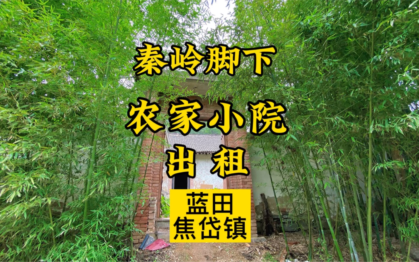 秦岭脚下依山傍水农家小院,种菜养花过田园生活,你喜欢吗?哔哩哔哩bilibili