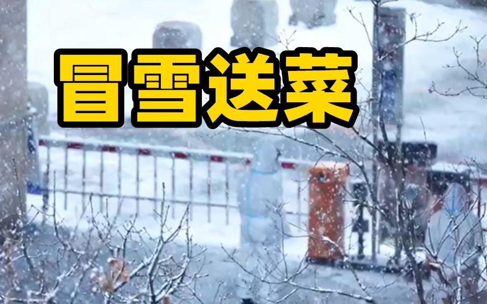 [图]吉林超市员工组私家车队冒雪送菜