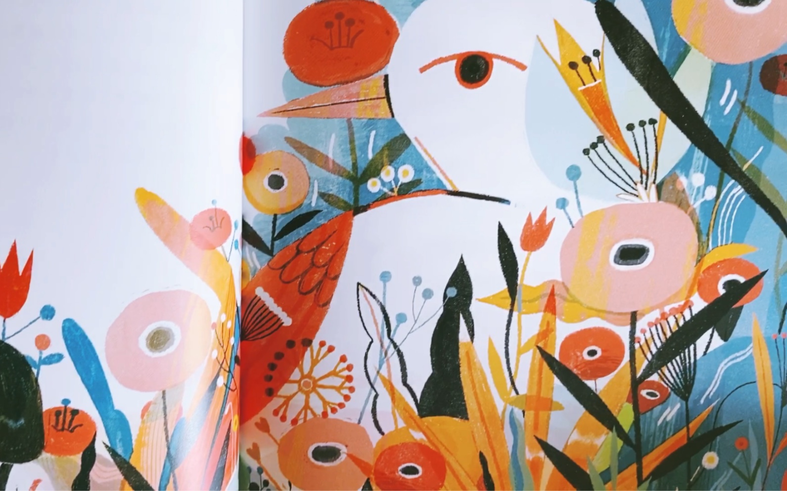 绘本分享lisk的阿泥